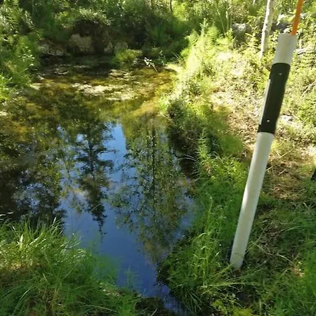 Kimppa-cabin / дом в лесу у озера *