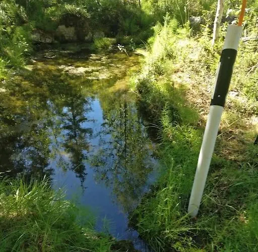 Kimppa-cabin / дом в лесу у озера *