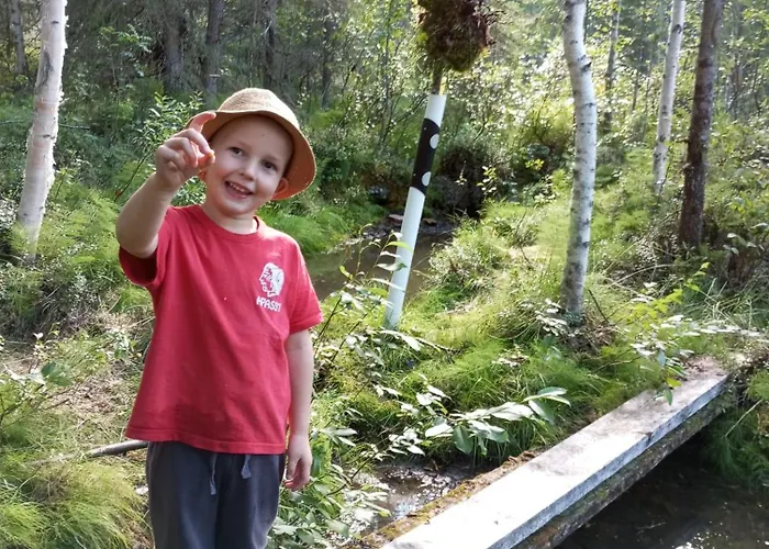 Appartement Kimppa-cabin / дом в лесу у озера *