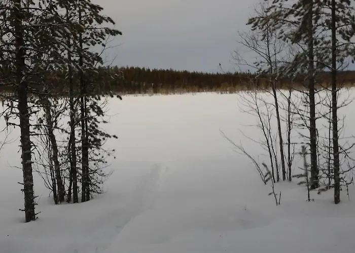 Kimppa-cabin / дом в лесу у озера Kolari